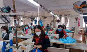 Hà Nội: Gần 98% lao động đã trở lại làm việc 