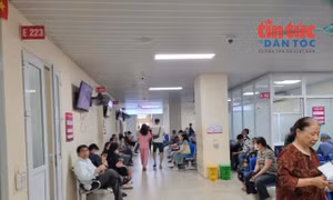 Người đi khám bệnh trái tuyến được thanh toán 50% mức hưởng từ tháng 7/2026.