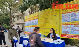 Sinh viên và người lao động tìm kiếm thông tin tuyển dụng của doanh nghiệp.