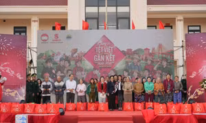 Khi Tết không chỉ là sum vầy, mà còn là sự hồi sinh sau bão lũ