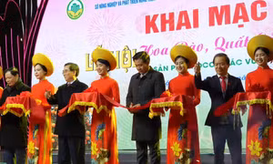 Lần đầu tiên tổ chức lễ hội hoa đào, quất cảnh và sản phẩm OCOP các vùng miền Xuân Giáp Thìn 2024