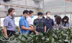 Huyện Mê Linh (Hà Nội) đổi thay khi thực hiện xây dựng nông thôn mới