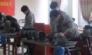 Sinh viên trường nghề có thể thi tốt nghiệp tại doanh nghiệp