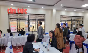 Các vị trí tuyển dụng được đăng công khai, trong đó nêu rõ về trình độ, độ tuổi, mức lương, điều kiện làm việc.
