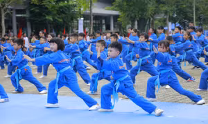 Màn đồng diễn môn võ Vovinam lớn nhất Việt Nam