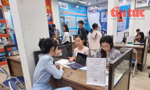 Sàn giao dịch việc làm trực tuyến quốc gia thúc đẩy minh bạch thị trường lao động