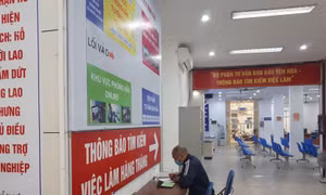 Kết nối trực tuyến tạo thuận lợi cho người lao động và doanh nghiệp Thủ đô