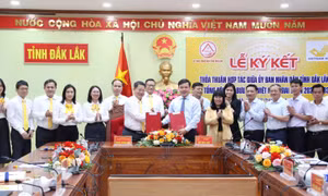 Đắk Lắk hợp tác thúc đẩy chuyển đổi số, thương mại điện tử