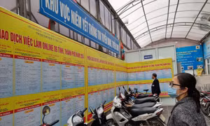 Lao động tìm kiếm thông tin việc làm tại Phiên giao dịch việc làm 9 tỉnh thành phía Bắc.