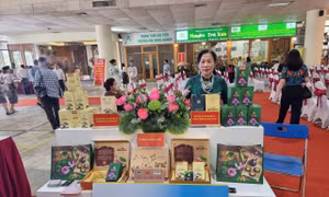 Hương trà sen Quảng An: Tinh hoa OCOP gìn giữ hương sen Tây Hồ