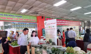 Hà Nội nâng tầm sản phẩm OCOP có khả năng cạnh tranh