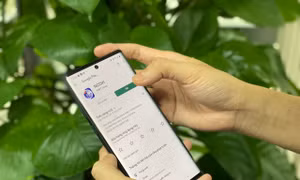 Ứng dụng công nghệ thông tin quản lý người có nguy cơ lây nhiễm