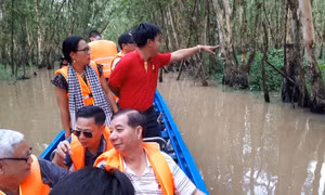 Hoà mình vào thiên nhiên trên cây cầu tình yêu trong rừng tràm Trà Sư