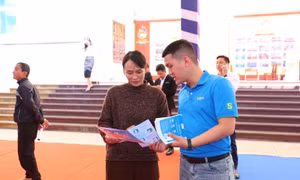 Hỗ trợ chuyển đổi số cho hộ kinh doanh tại Đà Nẵng