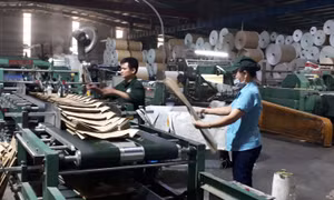 Hà Nội: Thưởng Tết cao nhất là 420 triệu đồng