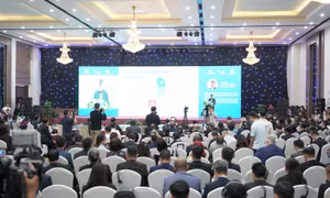 Trình diễn máy bay không người lái, UAV Việt Nam chế tạo