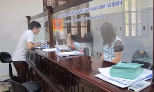 Bị nợ lương và BHXH, người lao động gửi đơn đến cơ quan nào để được giải quyết?
