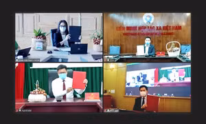 Hợp tác hỗ trợ chuyển đổi số, kết nối tiêu thụ nông sản