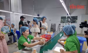 Từ mua sắm xanh đến phát triển bền vững qua nền tảng số