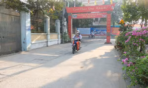 Huyện Hoài Đức (Hà Nội) nỗ lực về đích đạt chuẩn nông thôn mới nâng cao
