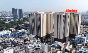TP Hồ Chí Minh chính thức áp dụng hệ số thu nhập mới khi mua nhà ở xã hội từ ngày 1/4