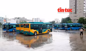Miễn phí xe buýt ở TP Hồ Chí Minh: Bước đột phá cho giao thông công cộng