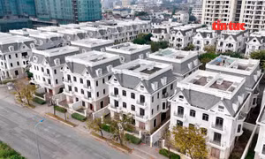 TP Hồ Chí Minh: Nhà phố, biệt thự tiền tỷ để hoang tàn nhiều năm ở Cát Lái