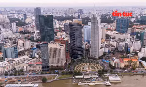 TP Hồ Chí Minh: Doanh nghiệp bất động sản không được ủy quyền đặt cọc, mua bán