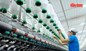 Doanh nghiệp TP Hồ Chí Minh tăng tốc chuyển đổi số để chinh phục thị trường toàn cầu