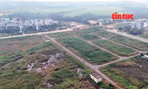 TP Hồ Chí Minh thông qua bảng giá đất mới áp dụng từ năm 2026