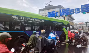 TP Hồ Chí Minh tăng cường vận tải hành khách công cộng phục vụ đại lễ 2/9