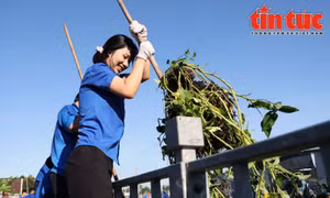 Ngày Chủ nhật xanh: Lan tỏa tinh thần sống xanh của tuổi trẻ Thành phố mang tên Bác 