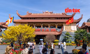 Người dân TP Hồ Chí Minh vãn cảnh chùa dịp đầu Xuân Bính Ngọ