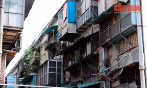 TP Hồ Chí Minh đẩy nhanh cải tạo cư xá Thanh Đa sau khi 165 hộ đồng ý di dời