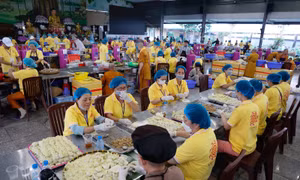 Hơn 1.000 tình nguyện viên chuẩn bị suất ăn chay miễn phí tại Đại lễ Vesak 2025
