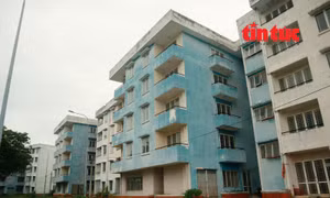 Tìm lời giải cho các dự án nhà ở bị bỏ hoang - Bài 2: Khơi thông pháp lý, ‘hồi sinh’ các dự án bị ‘đóng băng’