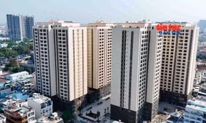 Giải bài toán phát triển nhà ở cho thuê tại TP Hồ Chí Minh - Bài cuối: Cần hành lang pháp lý riêng khi sửa đổi Luật Nhà ở và các luật liên quan