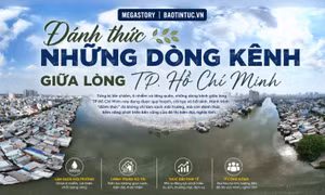 Đánh thức những dòng kênh giữa lòng TP Hồ Chí Minh