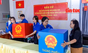  TP Hồ Chí Minh: Rộn ràng công tác chuẩn bị bầu cử tại địa bàn dân cư