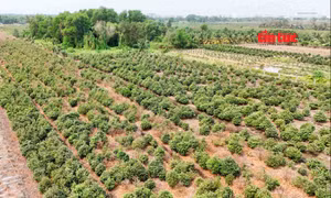 TP Hồ Chí Minh xây dựng hệ số điều chỉnh giá đất áp dụng từ 1/7