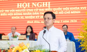 Doanh nhân trẻ đặt niềm tin vào ngày hội trọng đại của đất nước