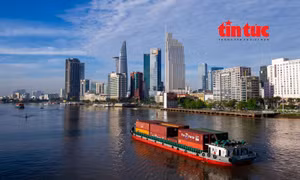 TP Hồ Chí Minh đẩy mạnh phát triển 'lá phổi xanh' trong đô thị 