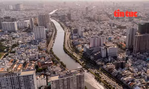 TP Hồ Chí Minh duy trì Tổ công tác 5013 để đẩy nhanh cấp sổ hồng cho người dân