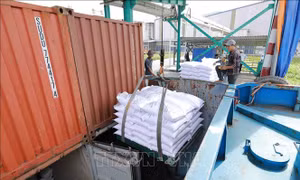 Doanh nghiệp Việt trúng thầu 300.000 tấn gạo xuất sang Indonesia