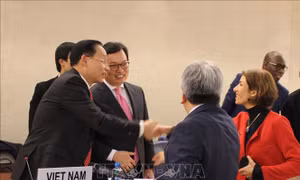 Bảo vệ, thúc đẩy quyền con người ở Việt Nam - Bài cuối: Nỗ lực thu hẹp khoảng cách phát triển