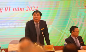 Thu trên 344 tỷ đồng tiền bản quyền tác giả âm nhạc năm 2023