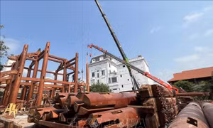 Quảng Ngãi: Tháo dỡ tòa nhà gỗ lớn xây dựng trái phép trên đất lúa