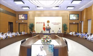 Làm rõ mô hình tổ chức của lực lượng Cảnh vệ