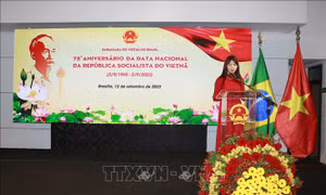 Việt Nam và Brazil coi trọng quan hệ đối tác toàn diện
