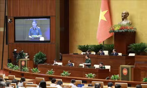 Có chế tài cụ thể xử lý vi phạm về lấn chiếm đất quốc phòng